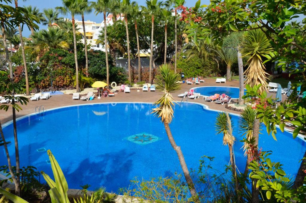 Cozy Studio Las Americas, Playa de las Américas – Bijgewerkte ...