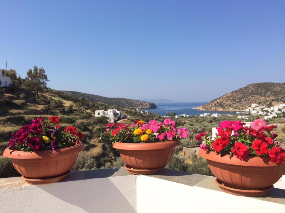 three pots of flowers sitting on a ledge at Villa Costa Studios in Vathi