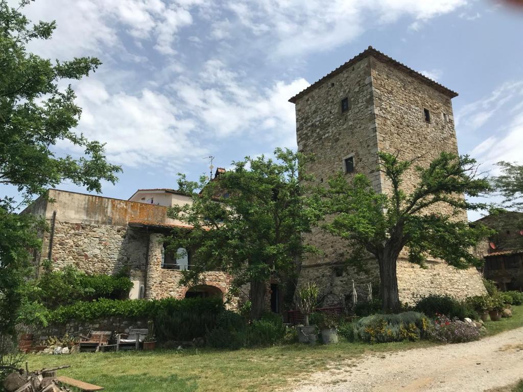 een oud stenen gebouw met een boom ervoor bij Case di Vetulonia in Castiglione della Pescaia