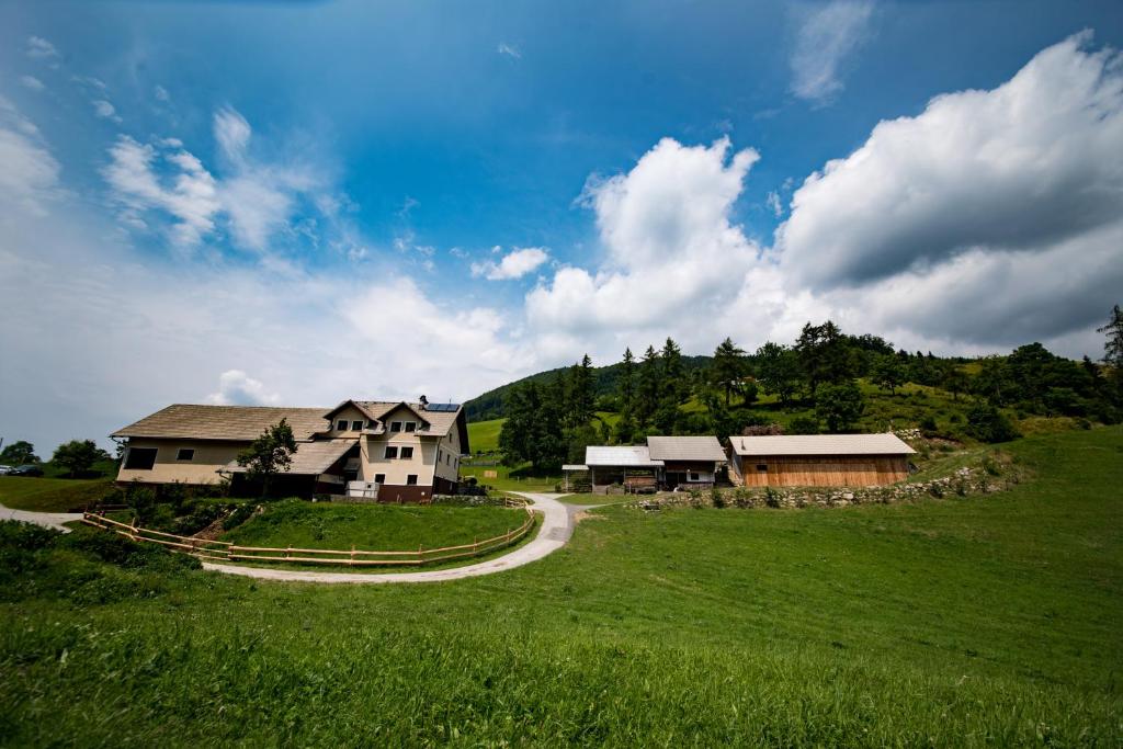 ein Haus auf einem grünen Feld mit einer gewundenen Straße in der Unterkunft Tourist Farm Pr'Dovar in Cerklje na Gorenjskem