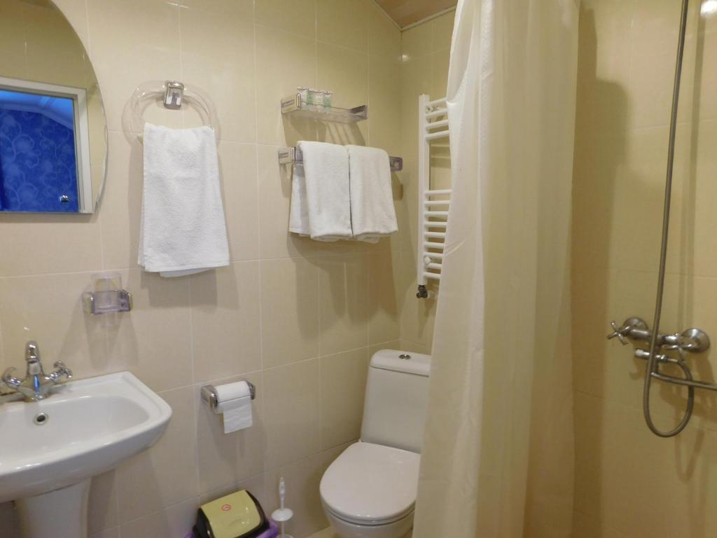 Koupelna v ubytování Akaki's Guesthouse