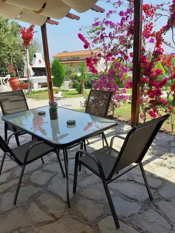 Patio alebo iná vonkajšia časť ubytovania Ianos