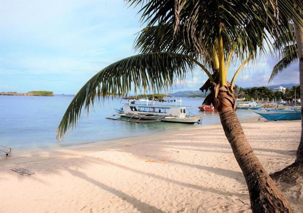 a palm tree on a beach with boats in the water at Happy's Homestay in Boracay