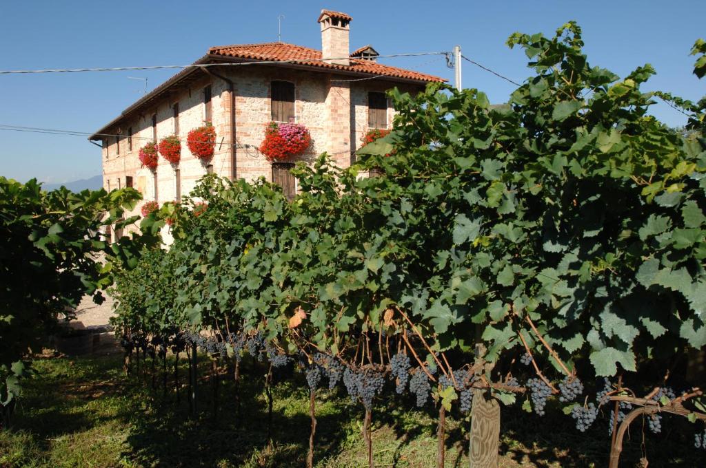 a building with a bunch of grapes in a field at Le Fade in Susegana