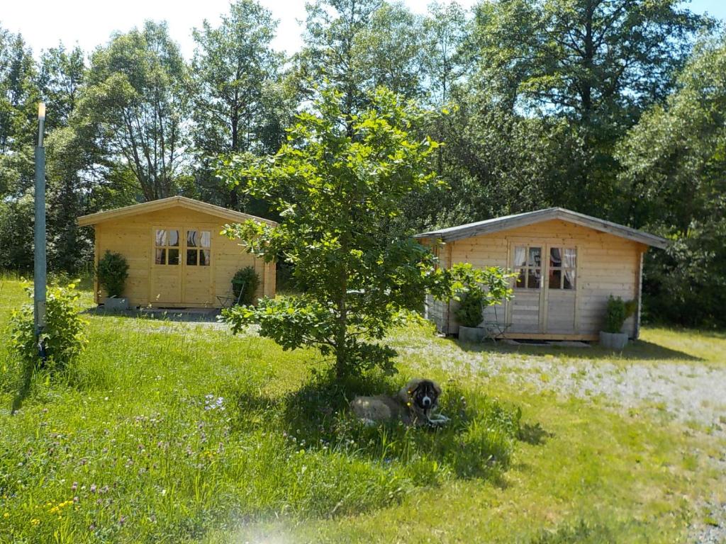 a dog laying in the grass in front of a house at Zehrermühle Campinghütte in Schönberg