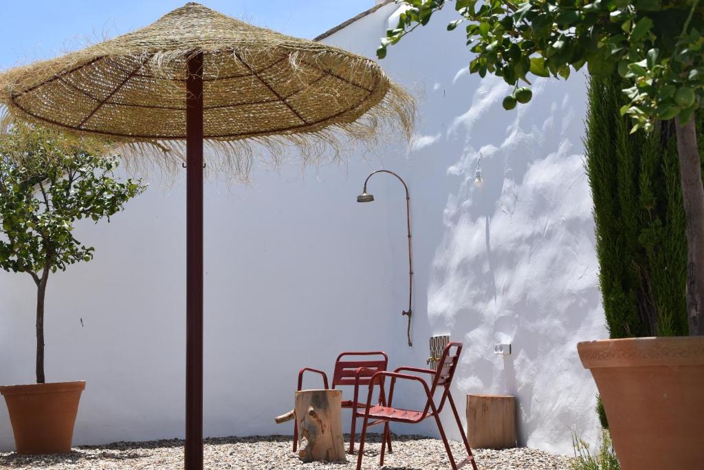 Fotografie z fotogalerie ubytování Casa Almara v destinaci Espejo