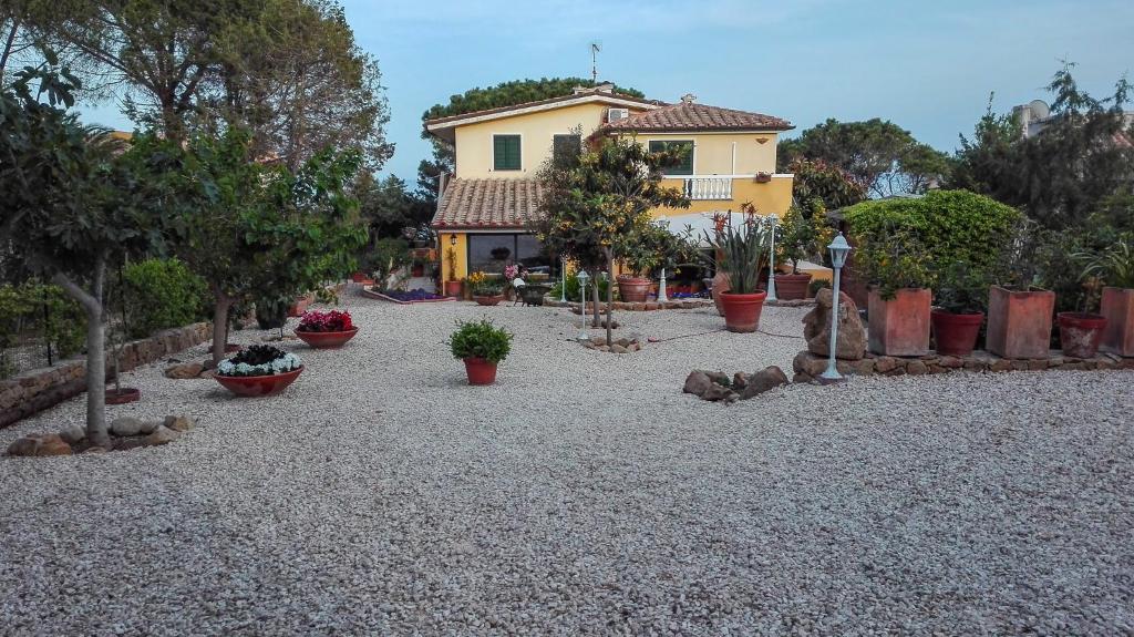 una casa con muchas macetas y árboles en B&b Giglio di Mare, en Cala Liberotto