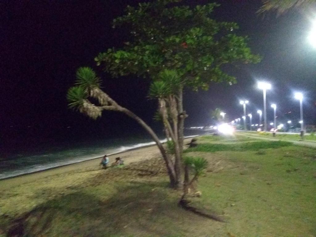 Temporada de frente para o mar