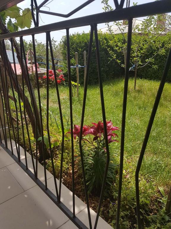 Vonkajšia záhrada v ubytovaní Apartment Skale