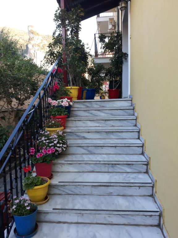 Fotografie z fotogalerie ubytování Sofia Margarita's Rooms v destinaci Agios Gordios