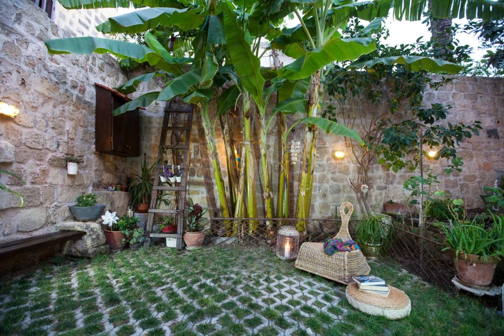 een binnenplaats met een bos planten en stoelen bij OLD TOWN CLASSIC HOUSE RHODES in Rhodos-stad