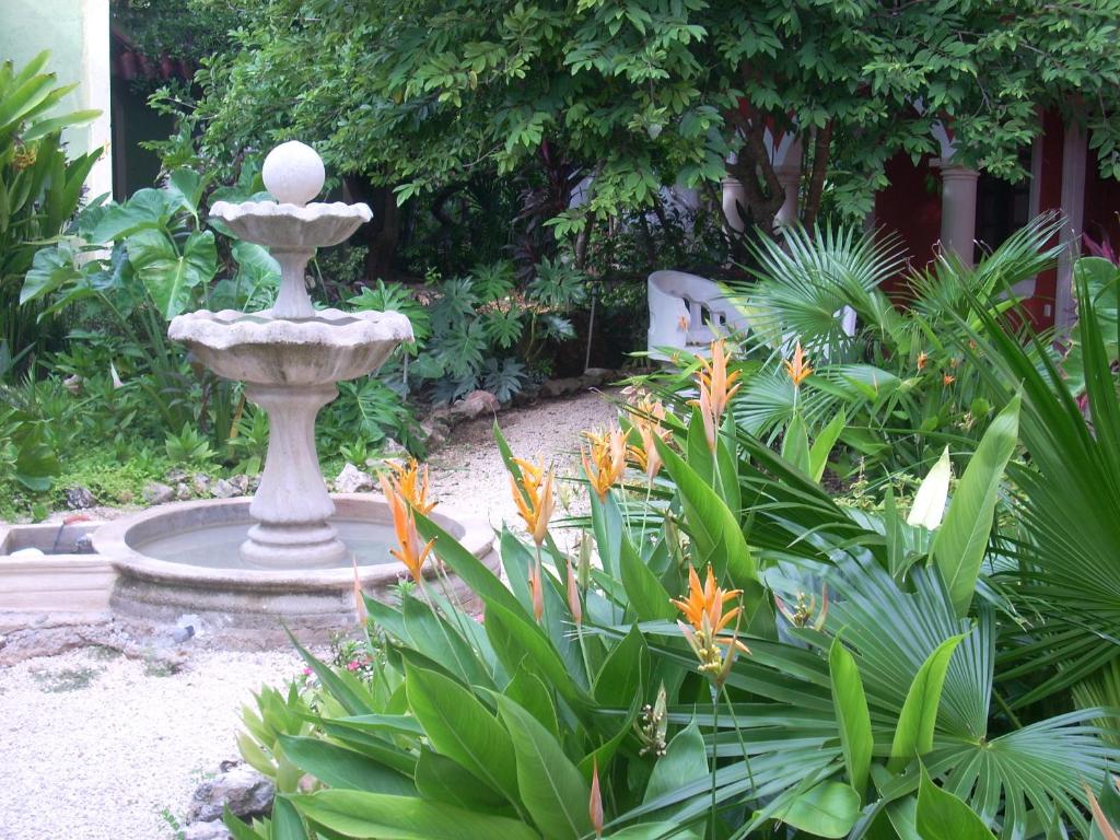 Zahrada ubytování Gardenhotel Macan Ché B&B