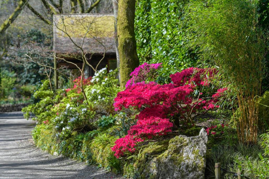 Zahrada ubytování Pinetum Garden Cottages