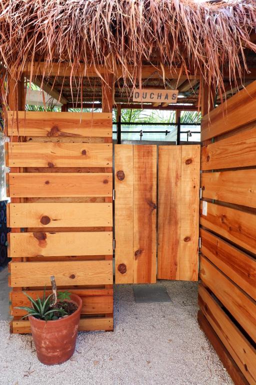 Fotografie z fotogalerie ubytování Wabi Hostel v destinaci Playa del Carmen