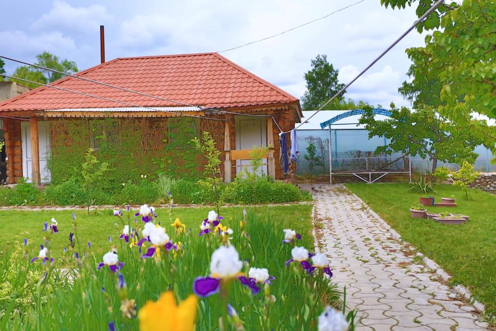 Zahrada ubytování Amir Hotel