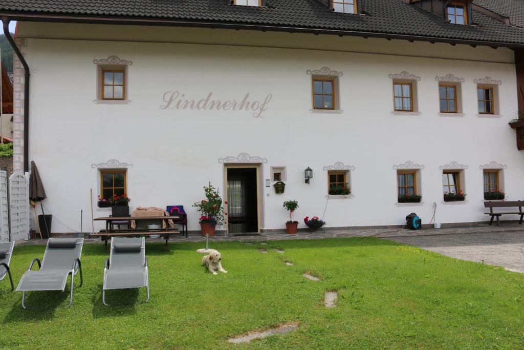 un perro caminando delante de un edificio blanco en Lindnerhof Urlaub am Bauernhof en San Lorenzo di Sebato