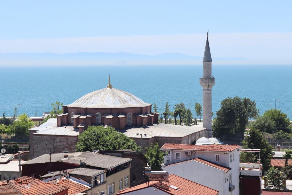 a mosque and a mosque with a minaret in a city at Miray Apart Hotel Sultanahmet in Istanbul