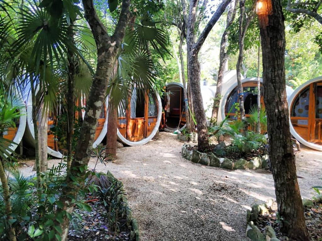 Zahrada ubytování Tubo Tulum Hostel
