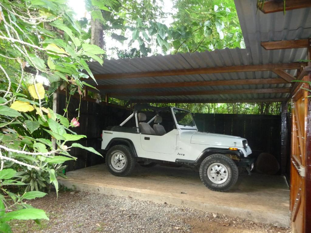 Fotografie z fotogalerie ubytování Topos Tree House v destinaci Cahuita