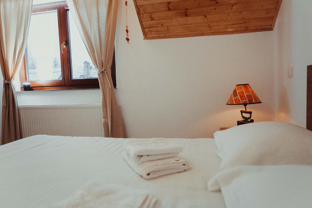 Pensiunea Aer de Munte - Chambre Double