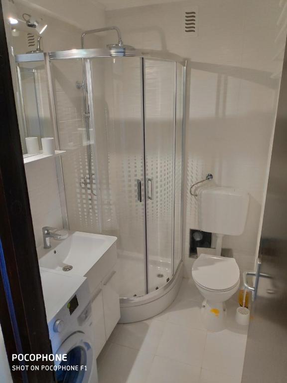 Kúpeľňa v ubytovaní Apartman Cervar Porat