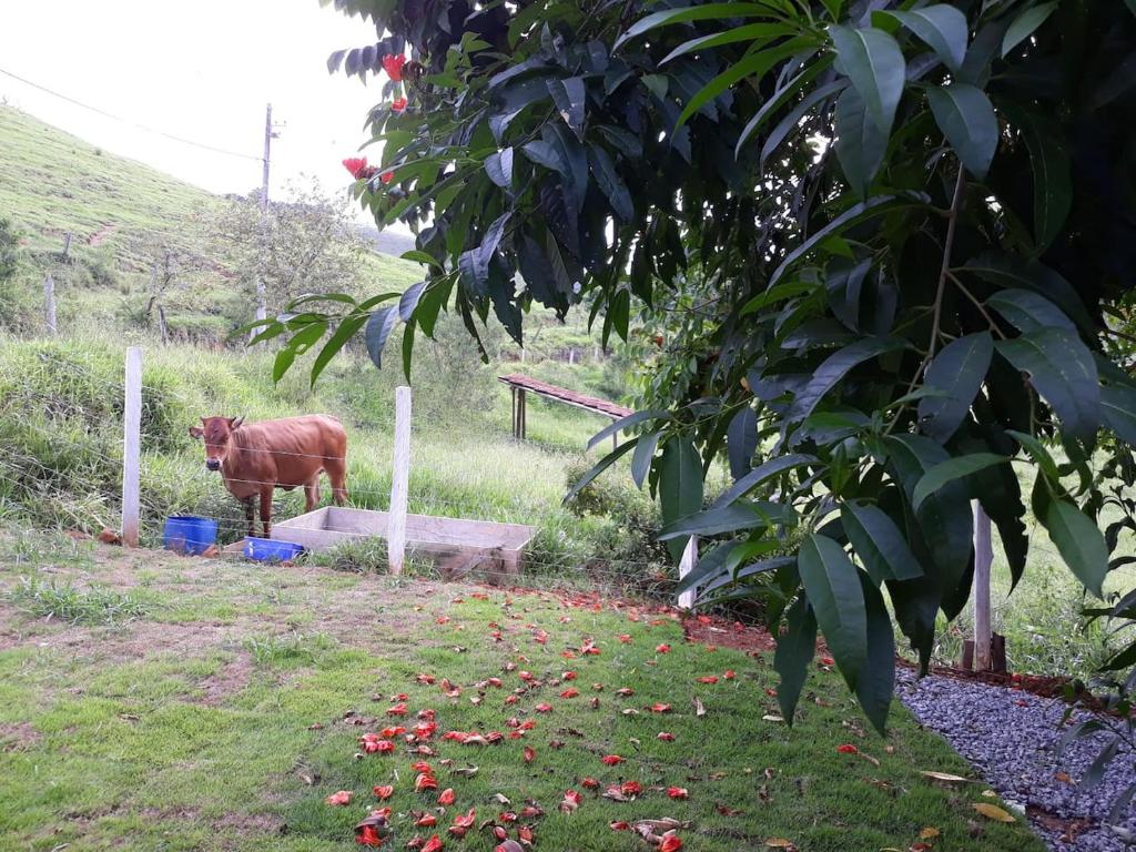 Casa de campo