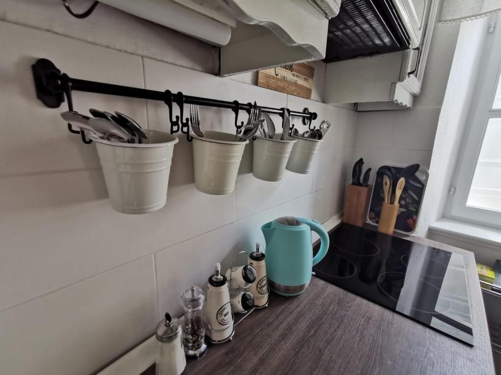 Kuchyň nebo kuchyňský kout v ubytování Apartman nono Ive