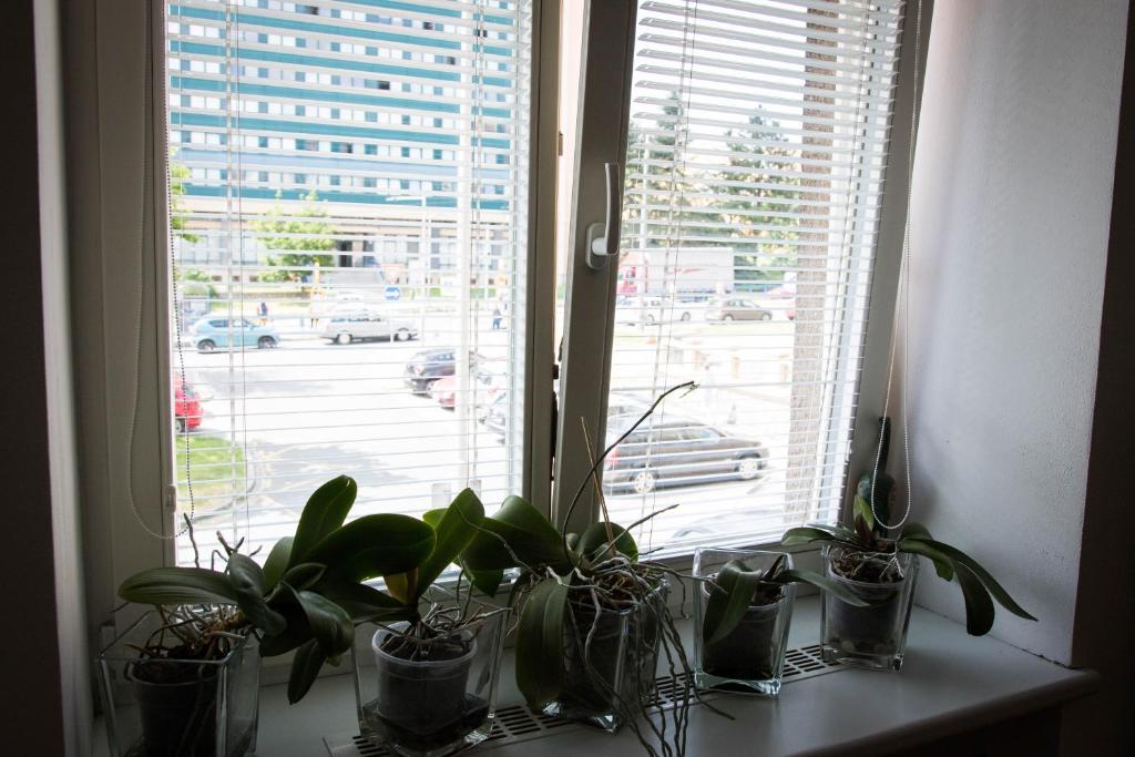Zdjęcie z galerii obiektu Apartment Poruba STREET VIEW w Ostravie
