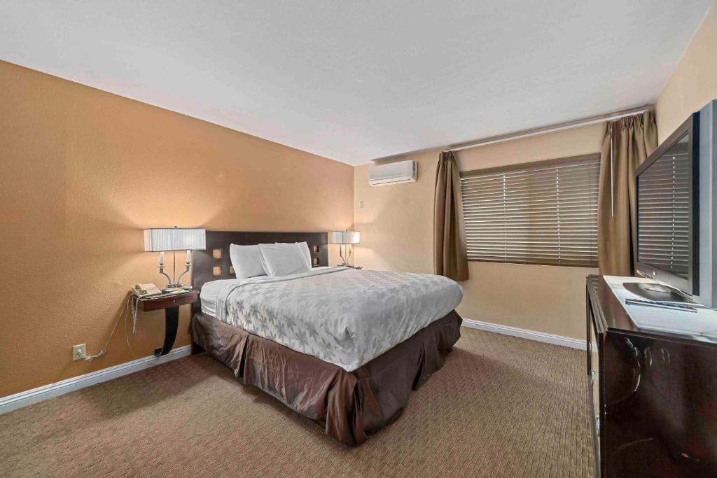 The Lemon Tree Hotel - Family Suite