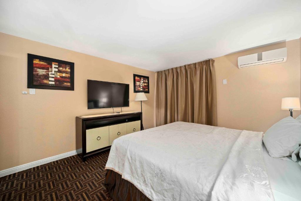 The Lemon Tree Hotel - 