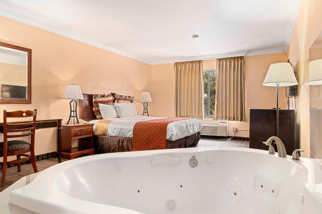 The Lemon Tree Hotel - 