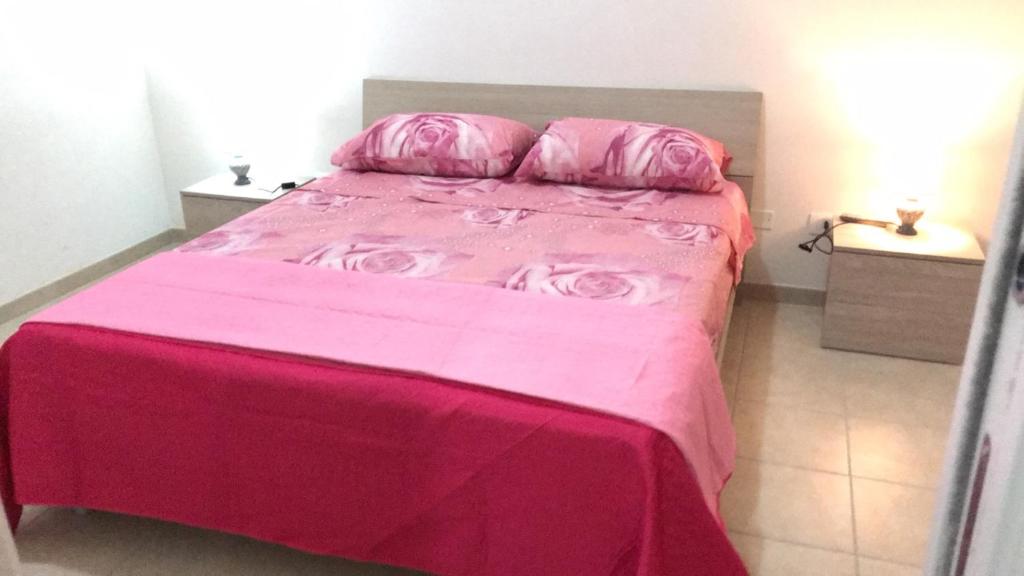 1 dormitorio con cama rosa y manta rosa en TAnoelvira, en Reitani