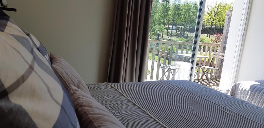 Balkón nebo terasa v ubytování Logis Hotel du Lac