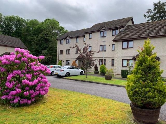 dom z fioletowymi kwiatami na podwórku obok ulicy w obiekcie Home from Holm w mieście Inverness
