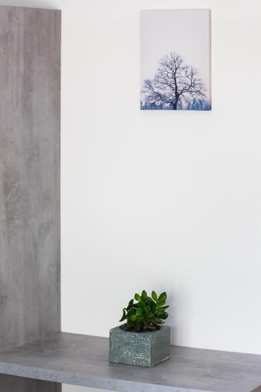 12 Reasons Why Metaxourgeio - Resim 19