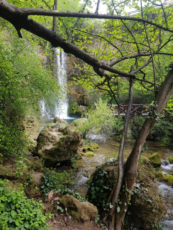 einem Wasserfall inmitten eines Flusses mit Bäumen in der Unterkunft Guest House Lisinski Raj in Despotovac