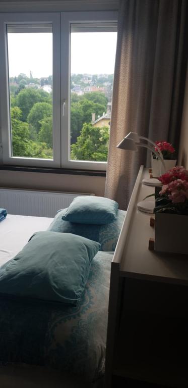 1 dormitorio con cama con almohadas y ventana en Blue Ball Apartment, en Budapest