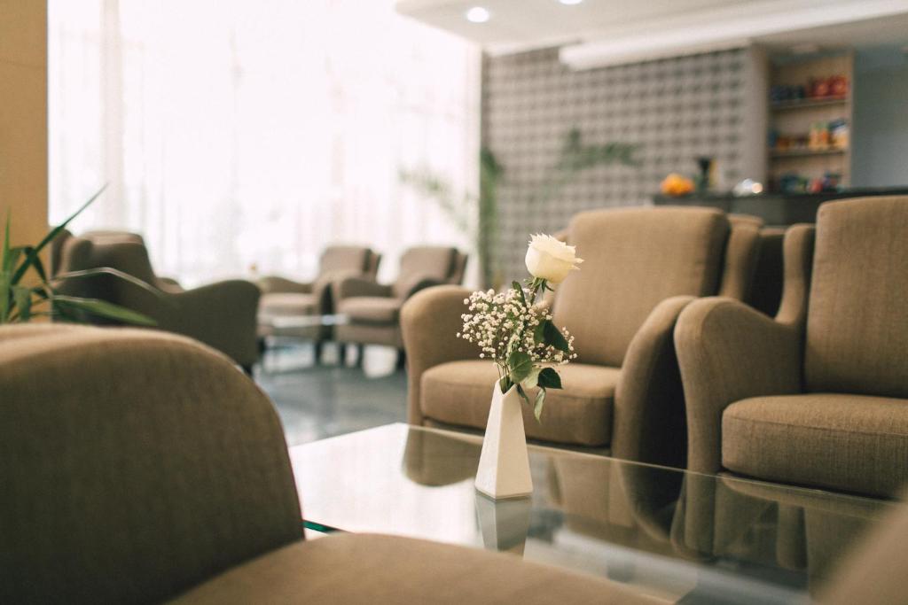Posezení v ubytování Hotel Nufarul