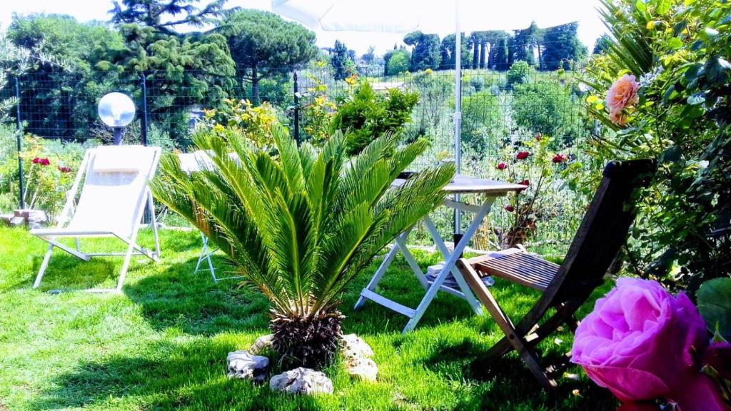 A garden outside Antico Casale Fabrizi