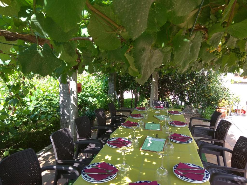 A garden outside Casa Rodiño