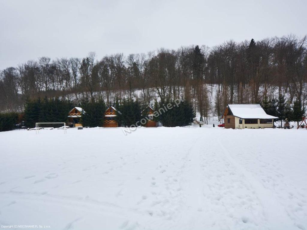 un campo cubierto de nieve con una casa en el fondo en Bieszczadzka Kryjówka, en Zwierzyń