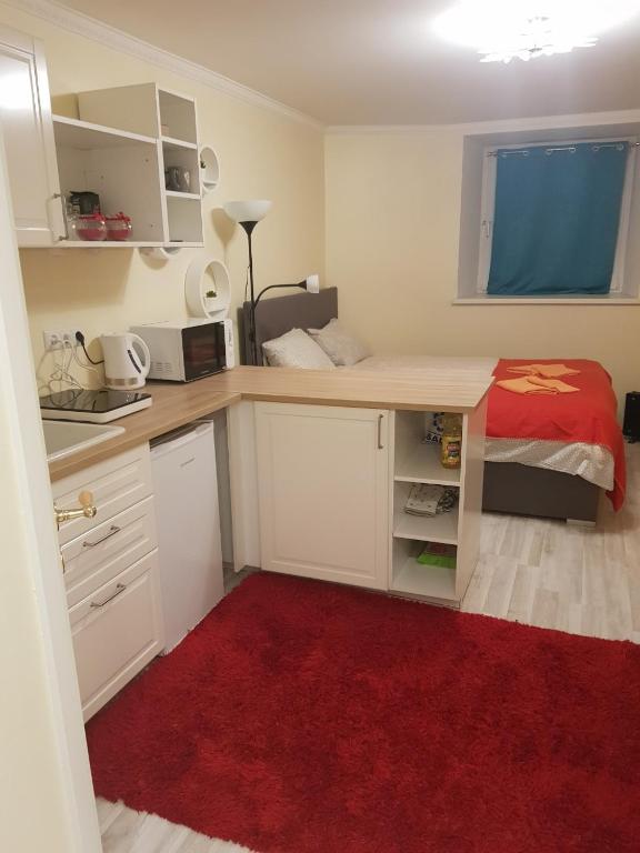 Studio On Tehnika 19 - Studio Apartment
