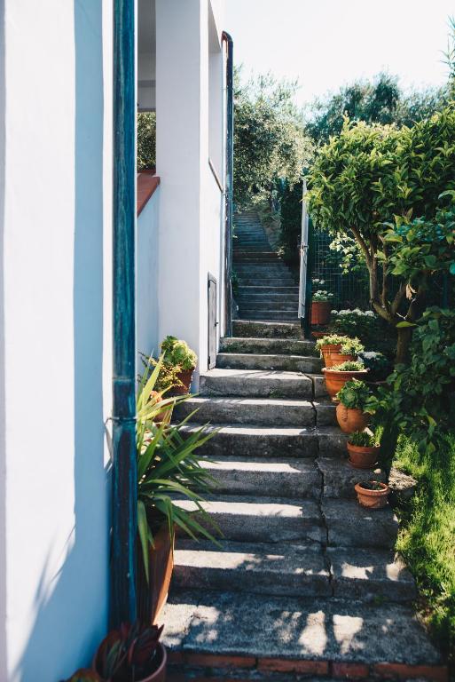 a stone stairway leading up to a house with plants at La Torretta in Lerici