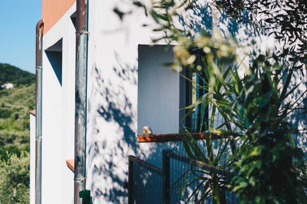 a house with a window and a fence at La Torretta in Lerici