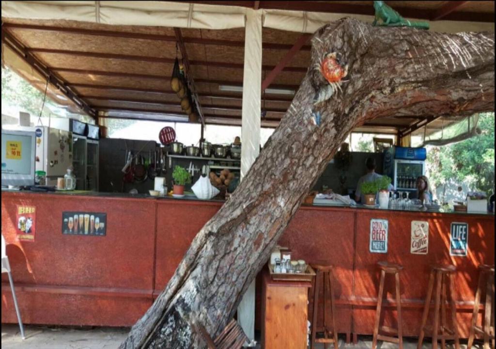 Restaurace v ubytování Adrasan Şekerbahçe Otel
