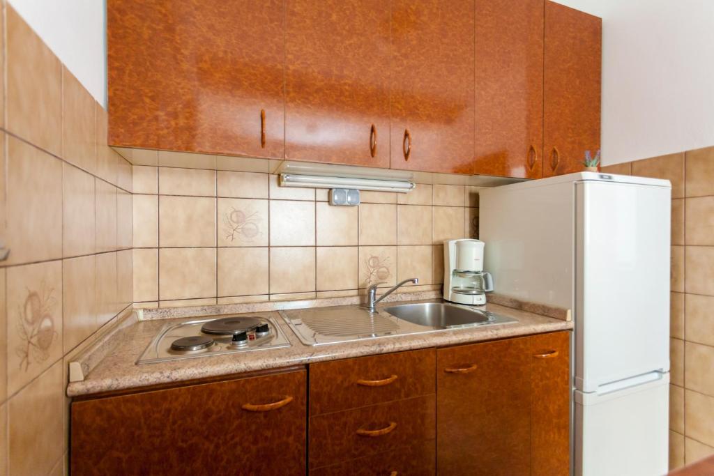 Kuchyň nebo kuchyňský kout v ubytování Apartments Belavic by El-Pi Tours