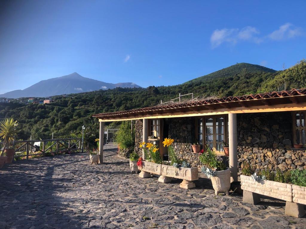 a building with potted plants and a mountain in the background at Casa in Genovés