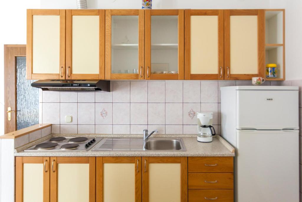 Kuchyň nebo kuchyňský kout v ubytování Apartments Belavic by El-Pi Tours