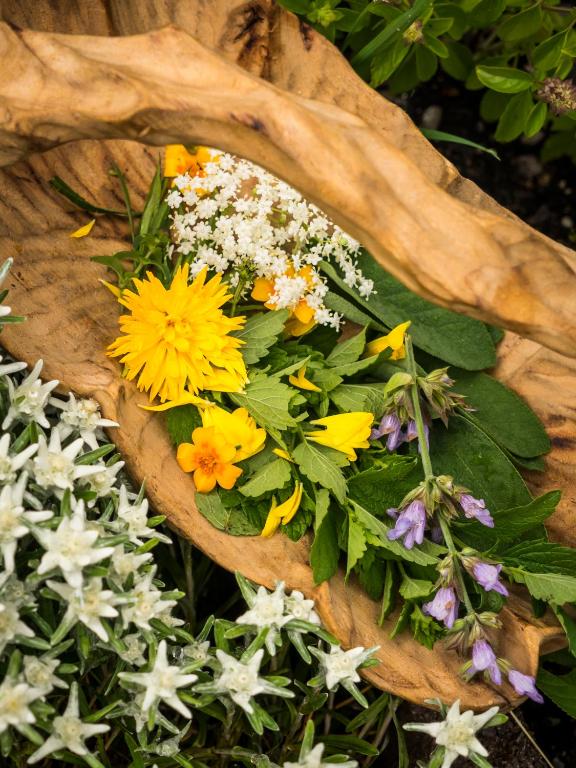 Zahrada ubytování Biohotel Walserstuba