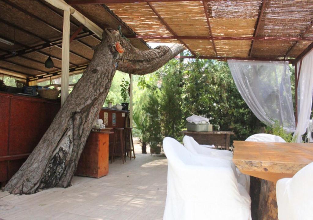 Zahrada ubytování Adrasan Şekerbahçe Otel